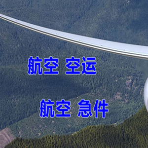 巴中恩阳机场托运快递-选东方航空和上海航空